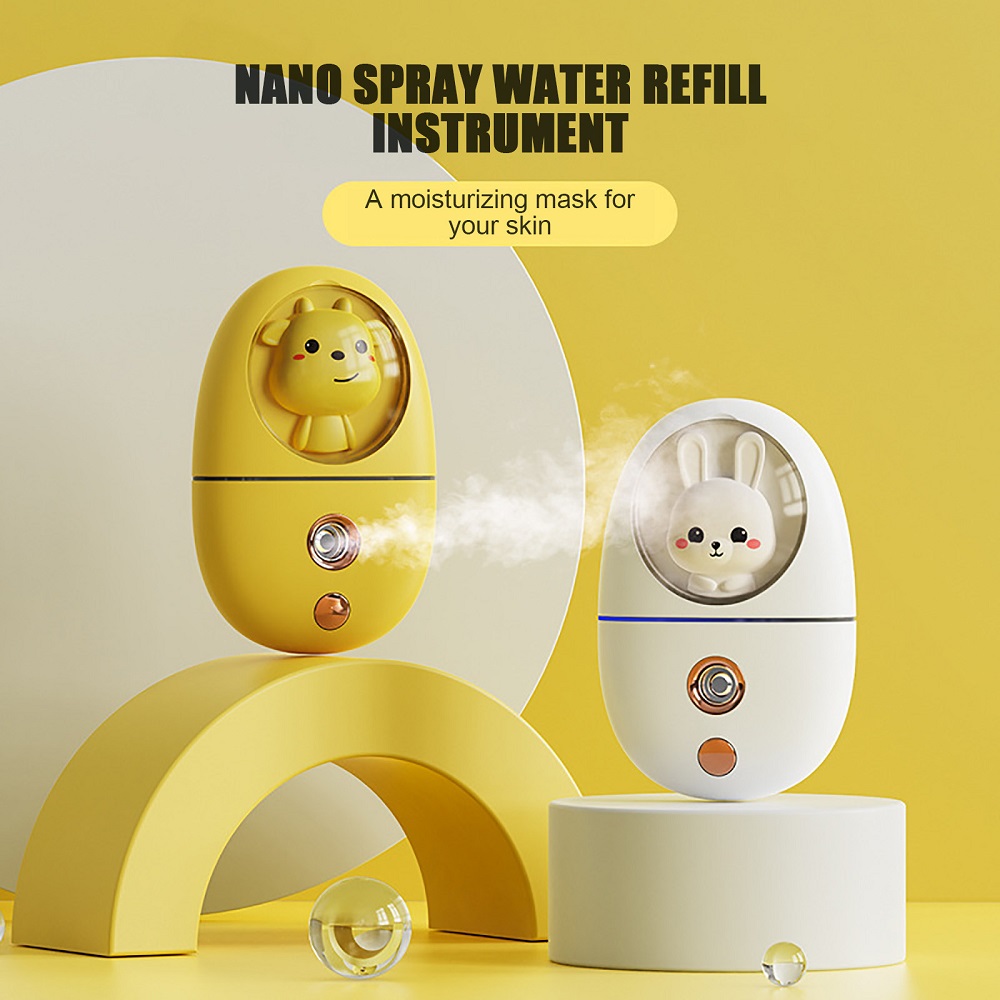 Mini humidificateur facial 35M - Face Steamer avis et prix